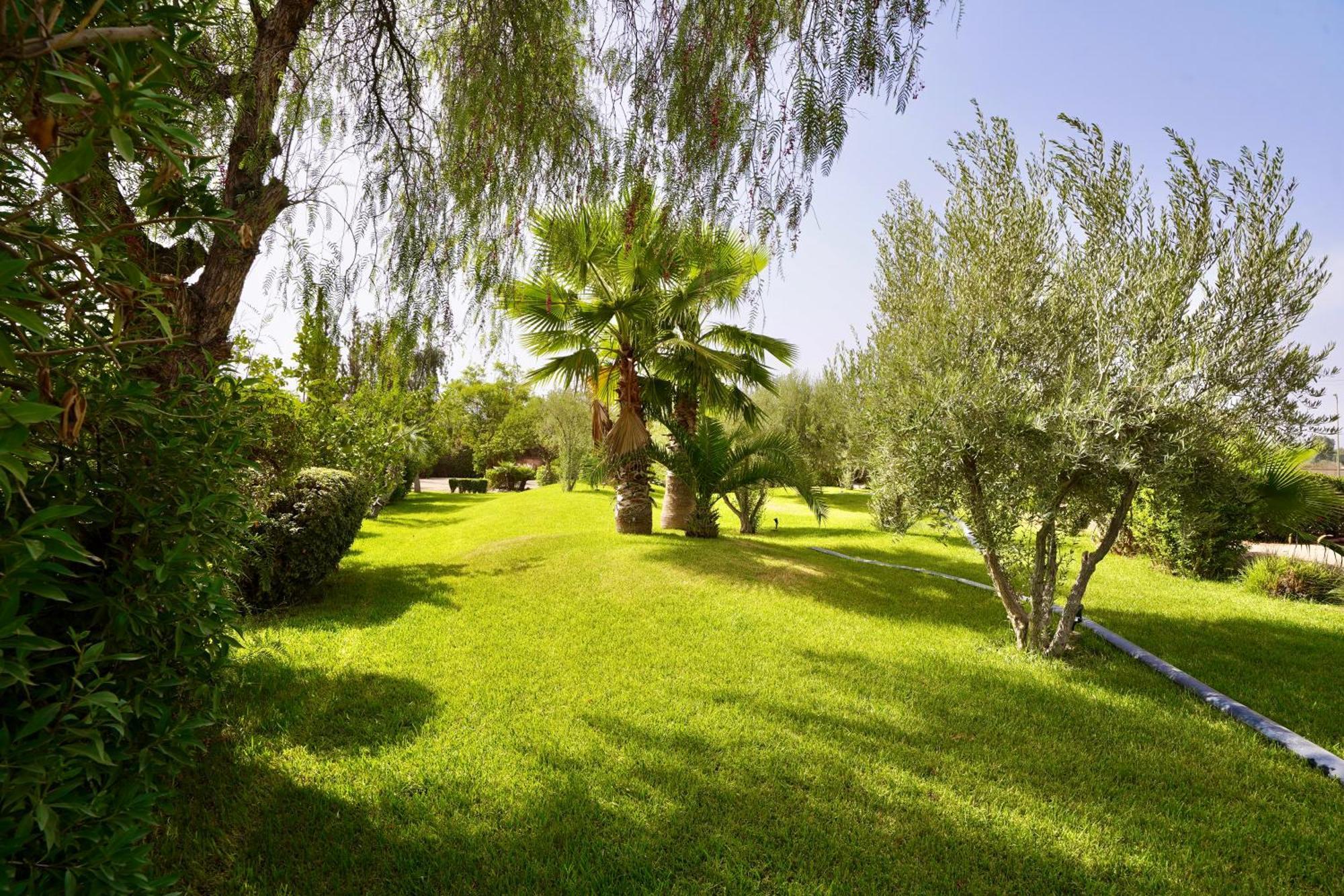 Ourika Camp Suites Hotel & Resort El Harkat Eksteriør billede